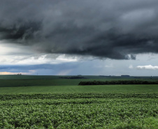 Excesso de chuvas pode afetar parte da safra de verão 2020/21. Foto: José Fernando Ogura/AEN