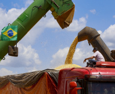 O setor agropecuário foi um dos únicos com crescimento no ano passado, com previsão de que continue em alta em 2021. No entanto, as condições climáticas podem reduzir a produção, sobretudo de milho, colocando em risco o abastecimento desse cereal e a cadeia produtiva que dele depende. Foto: Gilson Abreu/AEN