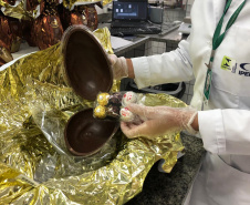 Dicas do Ipem-PR para comprar ovos de chocolate e pescados na Páscoa. Foto:Ipem