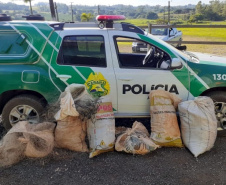 Em 2020, Polícia Ambiental atende mais de 15 mil ocorrências e faz 1,5 mil encaminhamentos no Paraná  -  Curitiba, 29/03/2021  -  Foto: Divulgação SESP-PR