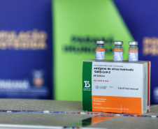 Paraná receberá mais 242.050 doses de vacinas contra a Covid-19
