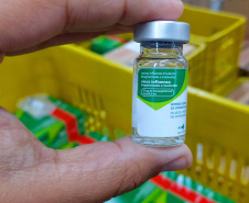 Vacina contra a gripe. Foto: Américo Antonio/SESA