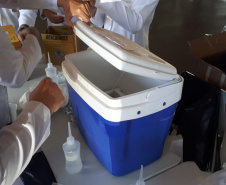 Vacinação contra a Covid-19 em Cambé. Foto:SESA