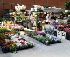 A Ceasa Curitiba está intensificando os cuidados na circulação em seu mercado atacadista tanto de hortigranjeiros, como para a comercialização de flores e plantas ornamentais. - Curitiba, 16/04/2021  -  Foto: CEASA/PR
