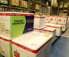 VACINAS ? Os medicamentos foram distribuídos às 22 Regionais de Saúde do Estado juntamente das 363.340 doses do 13º lote de vacinas contra Covid-19 e de 292.800 doses de vacina contra Influenza. - Curitiba, 16/04/2021 - Foto: Ari Dias/AEN