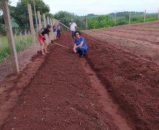 Moradores de Araruna ganham primeira Horta Comunitária. Foto:SEAB