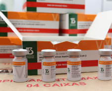 Novo lote da vacina CoronaVac chega ao Paraná 24/02/2021 - Foto: Geraldo Bubniak/AEN