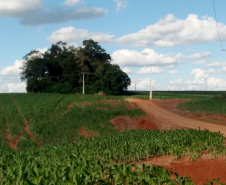 Vale do Ivaí recebe novas redes do Paraná Trifásico
. Foto: Copel