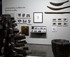 Museus do Estado reabrem ao público com protocolos de segurança e novas exposições  -  Foto: Marcelo Almeida