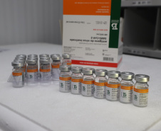 O Paraná recebeu neste sábado (08) mais 57.800 doses da vacina contra a Covid-19. O imunizante é o CoronaVac, produzido em parceria pela farmacêutica chinesa Sinovac e o Instituto Butantan, de São Paulo.  Foto:Ari Dias/AEN