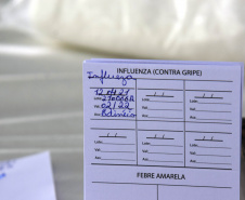 A secretaria estadual da Saúde inicia nesta terça-feira (11) a segunda fase da campanha de vacinação contra a gripe. Nesta etapa, que deve seguir até o dia 8 de junho, serão imunizados idosos com 60 anos ou mais e professores da rede pública e privada. Cerca de 1.949.851 paranaenses se enquadram nestes grupos.  -  Curitiba, 11/05/2021  -  Foto: Américo Antonio/SESA