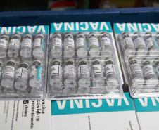 Paraná deve receber mais 413,8 mil vacinas contra a Covid-19
. Foto:Américo Antonio/SESA