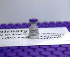 Vacinas da Pfizer serão distribuídas nesta segunda-feira
.Foto:Américo Antonio/SESA