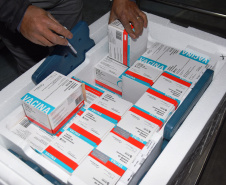 A Secretaria de Estado da Saúde (Sesa) recebeu na noite desta terça-feira (26), 352.750 doses da vacina AstraZeneca/Fiocruz, contra a Covid-19.   -  Curiti, 26/05/2021  -  Foto: Américo antonio/SESA