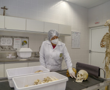 Peritos do Paraná usam antropologia forense para desvendar crimes; conheça o trabalho.
Foto : Gilson Abreu/AEN