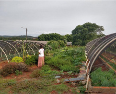  Projeto da Unioeste organiza e dá visibilidade ao trabalho de mulheres agricultoras. Foto: UNIOESTE