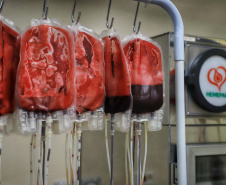 Com estoque 40% abaixo do ideal, Hemepar faz apelo à população para doar sangue. Foto: José Fernando Oura/AEN