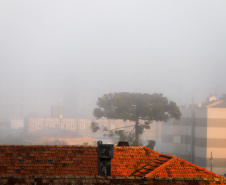 Simepar prevê inverno gelado e seco, com muito nevoeiro e alguns veranicos Foto: Geraldo Bubniak/AEN