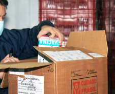 Com mais 450 mil doses, Cemepar começa a dividir novo lote de vacinas contra a Covid-19. Foto: Américo Antonio/SESA