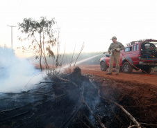 Nos primeiros quatro meses de 2021, o Corpo de Bombeiros do Paraná registrou 2.760 casos de incêndios em vegetação nativa ou plantação, 1.181 a menos que no primeiro quadrimestre de 2020, representando uma queda de 30%.  -  Curitiba, 05/07/2021  -  Foto: Gilson Abreu/Arquivo AEN