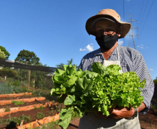 O Programa Cultivar Energia, da Copel, já acumula 7 hortas comunitárias espalhadas pelo Paraná, com previsão de implantar mais 5 ainda este ano. Pelo menos 270 famílias são diretamente beneficiadas pela iniciativa, que consiste na implantação de hortas comunitárias sob linhas de alta, média e baixa tensão da Companhia, permitindo um uso seguro e nobre dessas áreas.  - Curitiba, 13/07/2021  -  Foto: Copel