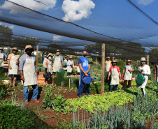 O Programa Cultivar Energia, da Copel, já acumula 7 hortas comunitárias espalhadas pelo Paraná, com previsão de implantar mais 5 ainda este ano. Pelo menos 270 famílias são diretamente beneficiadas pela iniciativa, que consiste na implantação de hortas comunitárias sob linhas de alta, média e baixa tensão da Companhia, permitindo um uso seguro e nobre dessas áreas.  - Curitiba, 13/07/2021  -  Foto: Copel