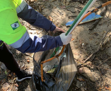 Nesta sexta-feira (30), 115 quilos de lixo foram recolhidos do manguezal, na Ilha do Teixeira, em Paranaguá. A ação integra o Programa de Monitoramento de Manguezais da Portos do Paraná. Foto: Pierpaolo Nota/ Portos do Paraná