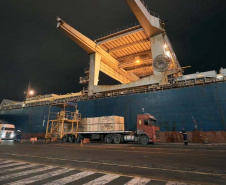 Madeira volta a ser embarcada direto no porão do navio no Porto de Paranaguá . Foto: Divulgação/TCP 