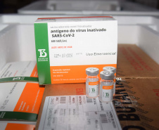 Paraná vai receber lote com mais 366.300 doses da vacina contra a Covid-19. Foto: Américo Antonio/SESA