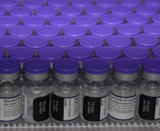 Mais de meio milhão de vacinas contra a Covid-19 serão distribuídas nesta sexta-feira. Foto: Américo Antonio/SESA