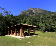 Parque Estadual Pico do Marumbi. Foto: Arnaldo Alves / AEN