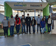 CastraPet Paraná realiza castração gratuita de 84 animais em Turvo. Foto: SEDEST