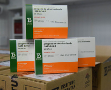 O Paraná recebeu mais 187.800 vacinas contra a Covid-19 da CoronaVac/Butantan neste sábado (4). As vacinas foram entregues no Centro de Medicamentos do Paraná (Cemepar) para conferência e armazenamento até que sejam descentralizados. A remessa faz parte da 47ª pauta de distribuição.  -  Curitiba, 04/09/2021  -  Foto: Américo Antonio/SESA