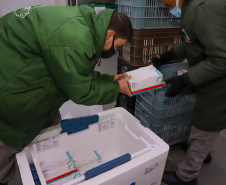 Governo do Estado do Parana recebe mais um lote de vacinas.Foto:Ari Dias/AEN