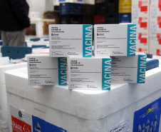 As 344.210 doses da vacina contra a Covid-19 referentes à 56ª pauta de distribuição do Ministério da Saúde chegaram ao Paraná nesta terça-feira (5). Foto: Américo Antonio/SESA