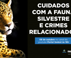 Duas lives, nesta quinta e sexta-feira (07 e 08) destacam os cuidados e a criminalização aos animais domésticos e silvestres no Estado do Paraná. As lives começam às 16 horas, transmitidas ao vivo pelo Canal do Youtube da Secretaria do Desenvolvimento Sustentável e do Turismo (Sedest). - Foto: SEDEST