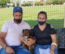 SANTO INÁCIO - O Castramóvel passou por sete municípios neste mês. Ao todo, foram esterilizados 855 cães e gatos, uma média de 147 por município. Nesta quarta e quinta-feira (27 e 28), o programa chega a Bandeirantes, onde são esperados 116 animais.  -  Curitiba, 26/10/2021 - Foto: SEDEST
