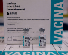 Mais 193 mil vacinas contra a Covid-19 devem chegar ao Estado nesta sexta Foto: Ari Dias/AEN