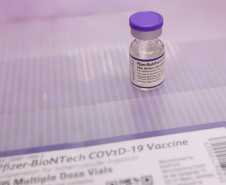 Estado vai receber mais 450,4 mil vacinas contra a Covid-19 nesta quarta-feira  -  Curitiba, 02/11/2021 - Foto: Geraldo Bubniak/AEN