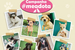 Portos do Paraná promove campanha #meadota no Dia Mundial dos Animais de Rua
