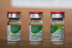 Vacinação contra a gripe começa nesta segunda-feira no Paraná; confira ordem dos grupos prioritários