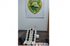  Polícia Militar apreende mais de 1,5 mil comprimidos de medicamentos, pistola e munições durante abordagem em Mandirituba (PR)