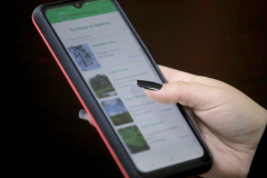  Aplicativo Paraná Mais Verde pode ser baixado no sistema Android