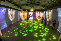 Últimos dias para ver a exposição Da Vinci Experience no MON