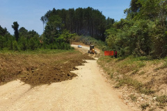 DER/PR anuncia nova etapa da licitação para conservação de rodovia de Guaraqueçaba