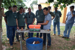 Novas tecnologias na produção de mandioca é tema de capacitação de técnicos do setor