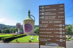 Conquista de Indicação Geográfica abre novos mercados para vinho do Bituruna