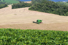 Agricultura lança novas edições do Prognóstico Agropecuário com perspectivas sobre seis produtos