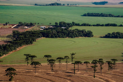 Caderno Regional Agropecuário analisa formação do preço de terras no Paraná