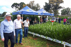  Produshow 2023 reúne tecnologia e novas cultivares em Pitanga